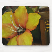 Schöne gelbe Blume Mousepad