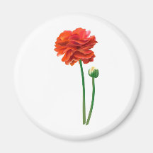 SCHÖNE HOHE RÖTLICHE ORANGEN-BLUME KÜHLSCHRANKMAGNET