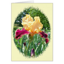 Schöne Iris Notecard Grußkarten