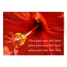 Schöne nahe hohe Hibiskuskarte