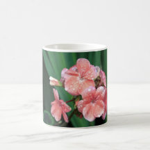 Schöne rosa Pelargonie Tassen