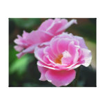 Schöne rosa Rosen Leinwand Drucke