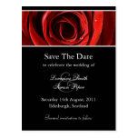 Schöne Rosen-Save the Date Postkarte