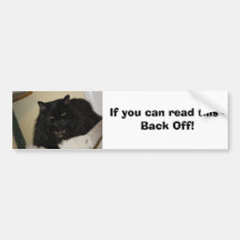 Schöne schwarze Katze Auto Sticker