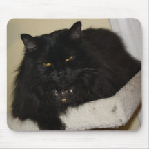 Schöne schwarze Katze Mousepads