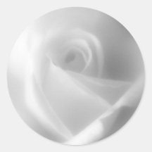 Schöne weiße Rosen-Aufkleber