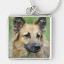 Schöner Hund Schlüsselband