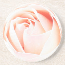 Schöner Pfirsich-Rosa-Rosen-Untersetzer