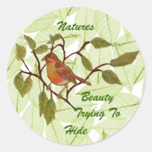 Schöner Piepmatz Sticker
