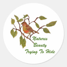 Schöner Piepmatz Sticker