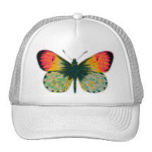 Schöner Schmetterling Mützen