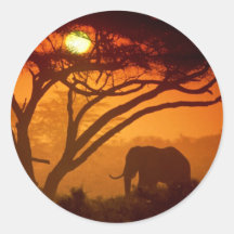 Schöner Sonnenuntergang-Elefant Runde Aufkleber