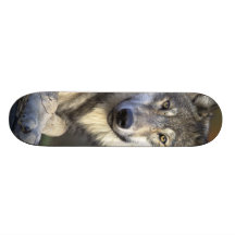 Schöner Wolf Skateboardbretter