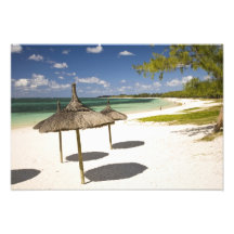 Schönheits-Stuten-allgemeiner Strand, Südostmaurit Foto Drucke