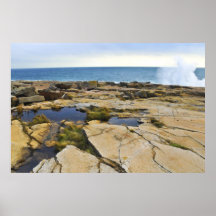 Schoodic Halbinsel Plakate