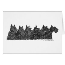 Schottische Terrier-Ansammlung Karten