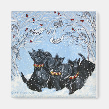 Schottische Terrier im Schnee! Magnete