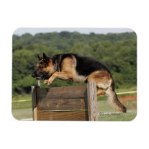 Schutzhund Schäferhund-Hundespringen Eckige Magnete