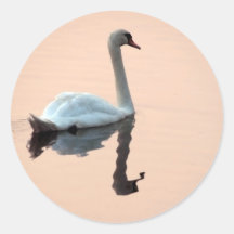 Schwan am Sonnenuntergang-Aufkleber