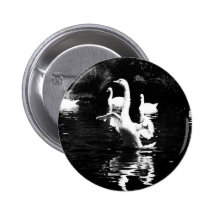 Schwan Button