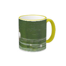Schwan-Morgen-Schwimmen 11oz. Wecker-Becher Haferl