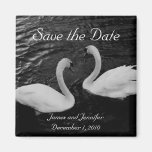 Schwan-Save the Date Magnet Magnete