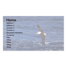 Schwarz-Browed Albatros im Flug Visitenkartenvorlagen