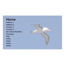 Schwarz-Browed Albatros im Flug Visitenkarten