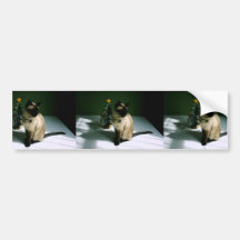 Schwarz-und Haut-Katzen-Diesel an Weihnachten Autosticker