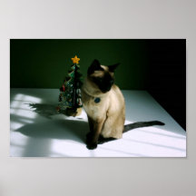 Schwarz-und Haut-Katzen-Diesel an Weihnachten Poster