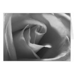 Schwarz-und-Weiß-Rose Grußkarte