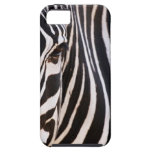 Schwarz-weiße Zebra Streifen Hülle Fürs iPhone 5