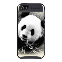 Schwarz-weißer Panda Skinit Fracht iPhone 5 Kasten