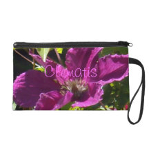 Schwarze HimbeerClematis