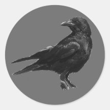 Schwarze Krähenaufkleber