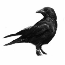 Schwarze Krähenfotoskulptur