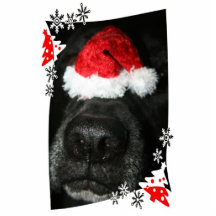 Schwarze Labradorhundenase mit Weihnachtsmannmütze Fotofiguren