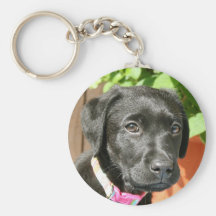 Schwarze Labradorschlüsselkette Schlüsselband