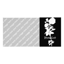Schwarze Rosen-Silhouette Bildkarte