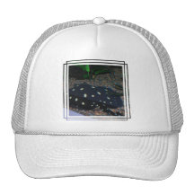 Schwarze Teufelstingray-Baseball-Mütze