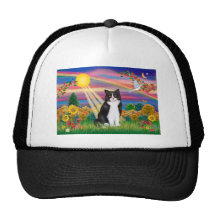 Schwarze u. weiße Katze - Herbst Sun Truckerkappe