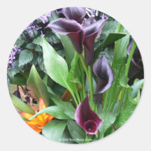 Schwarzer Calla-Lilien Runder Aufkleber