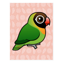 Schwarzer-cheeked Lovebird Postkarte