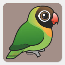 Schwarzer-cheeked Lovebird Quadrataufkleber