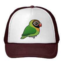 Schwarzer-cheeked Lovebird Retrokappen