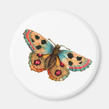 Schwarzer gepunkteter Schmetterling Magnete