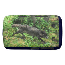 Schwarzer grauer Wolf-Tier-Foto-BlackBerry-Kasten Blackberry Bold Case