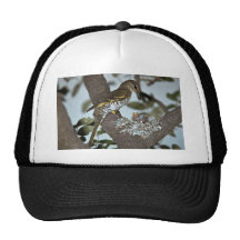 Schwarzer Kuckuck Shrike Baseball Kappen