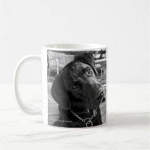 Schwarzer Labrador-Becher Tassen