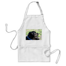 Schwarzer Labrador-Kopf gedrehtes weg Bild Schürze